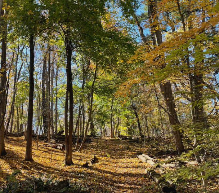 Florence and Robert Zuck Arboretum, United States